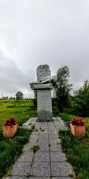 Dom Włodarza (Żabikowo)