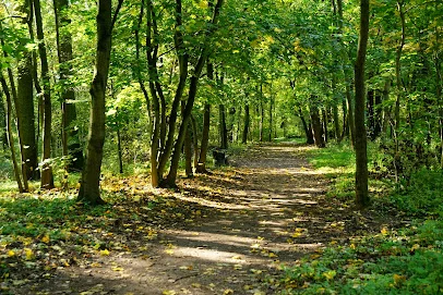 Park Leśny Dębina